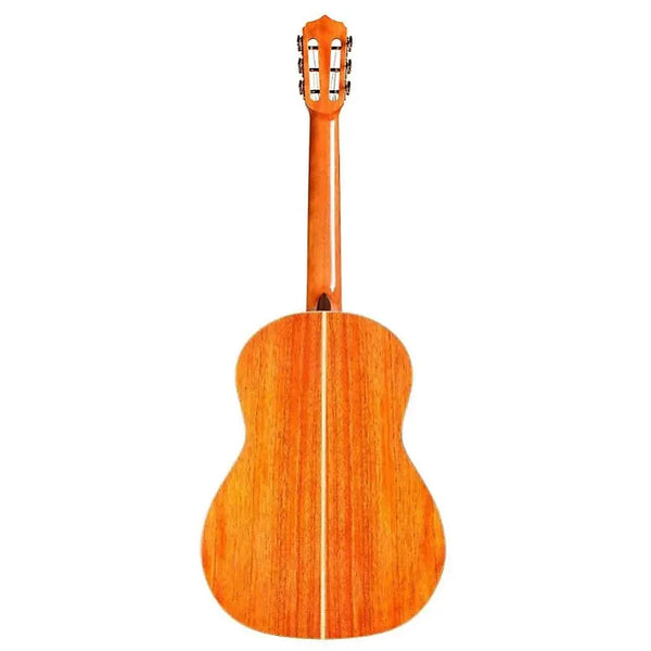 Cordoba Leona L9E Parlor Acoustic Electric Guitar-Guitar & Bass-Cordoba-Logans Pianos