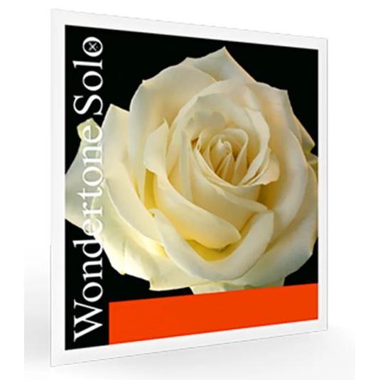 Pirastro Wondertone Solo Violin Strings - Single Alum A-Orchestral Strings-Pirastro-4/4-Logans Pianos