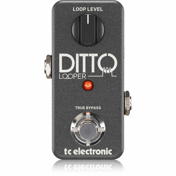 TC Electronic Ditto Looper-Guitar & Bass-TC Electronic-Logans Pianos
