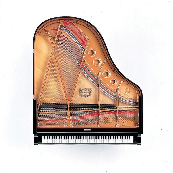 Yamaha C2X Grand Piano- WITH $2000 CASH BACK-Piano & Keyboard-Yamaha-Polished Ebony-Logans Pianos